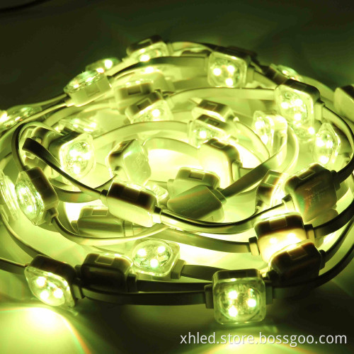 30000hrs Lifespan Full Color IP67 25mm SMD5050 0.75W DC12V Waterproof RGB Led Pixel Light String